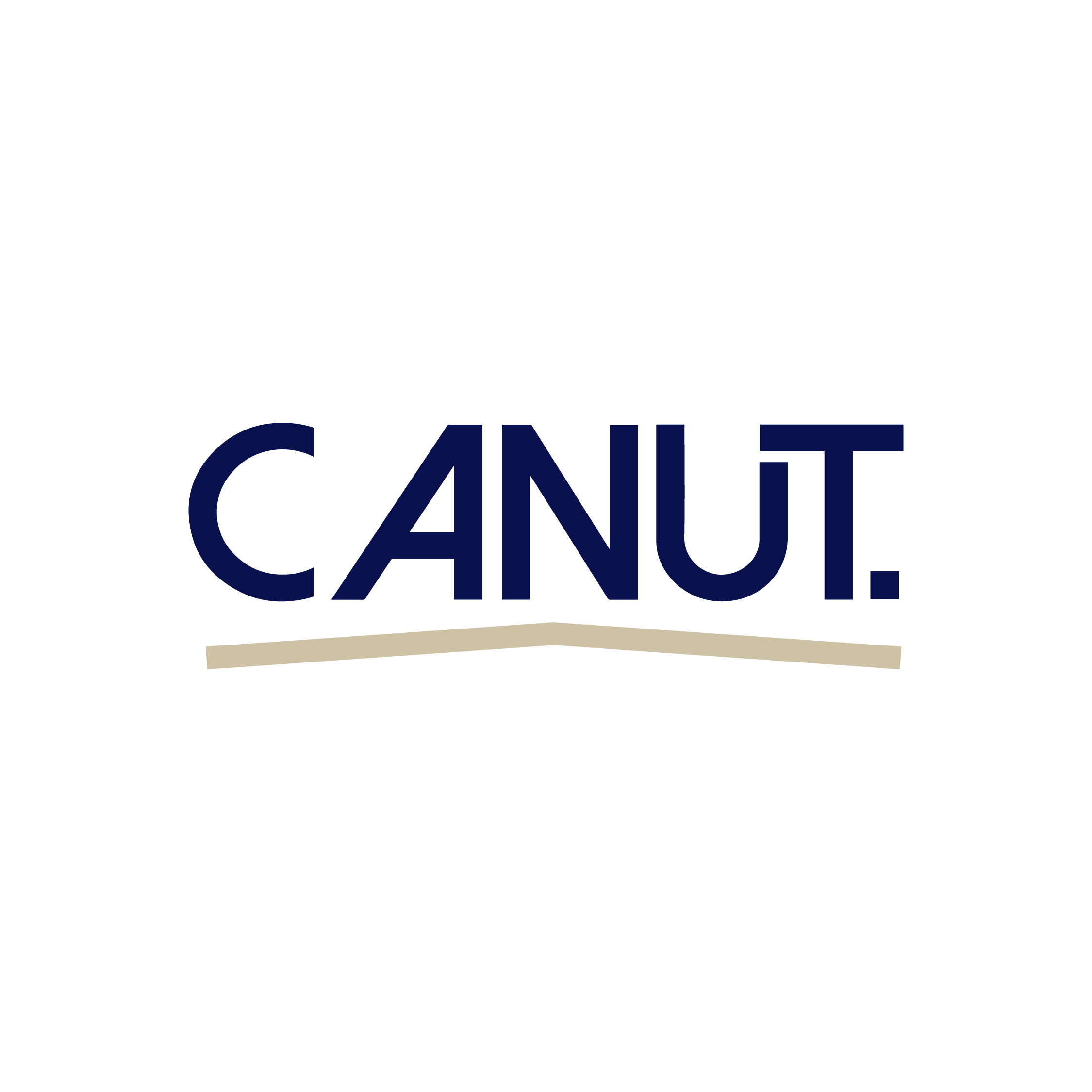 Canut Propiedades